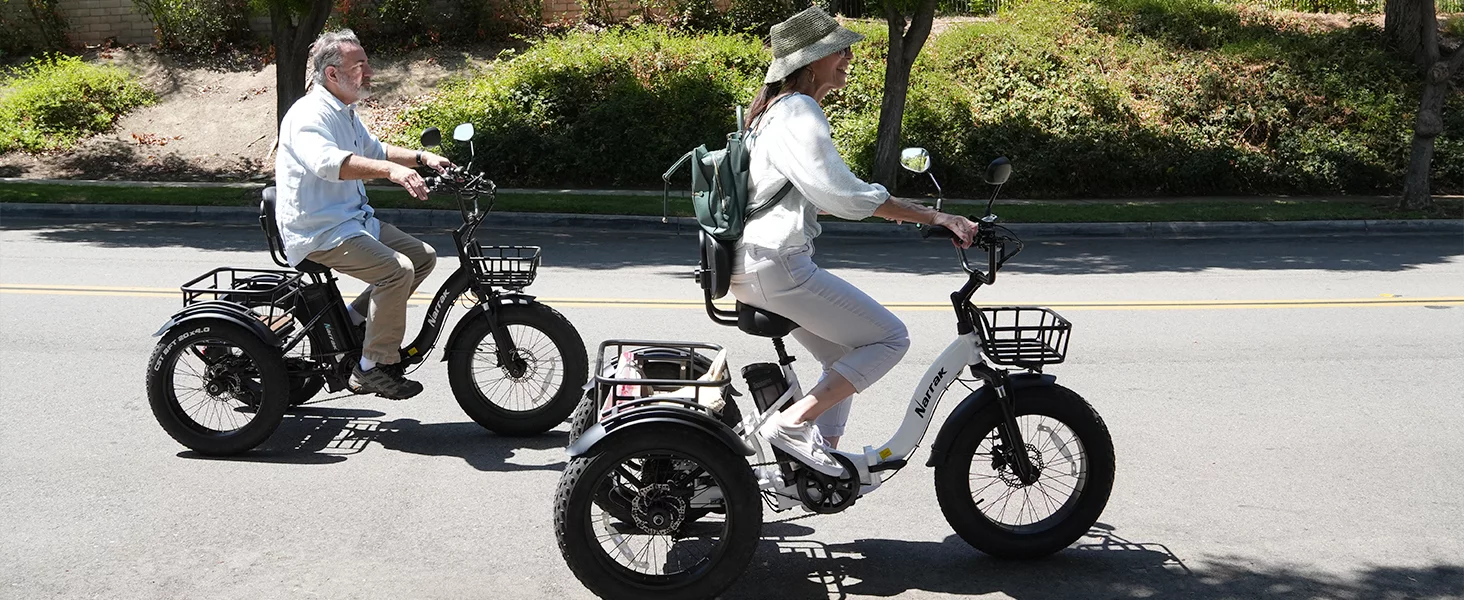 Narrak Folding Electric Tricycle